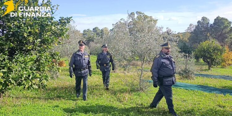 Basilicata. Contributi non versati ai braccianti: 30 imprenditori agricoli denunciati lungo la costa jonica