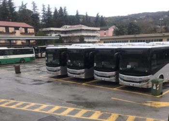 Trasporto pubblico extraurbano: in Basilicata arrivano 40 nuovi bus