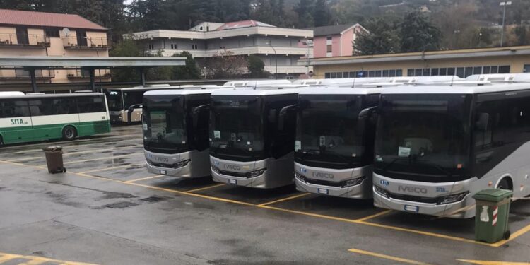 Trasporto pubblico extraurbano: in Basilicata arrivano 40 nuovi bus