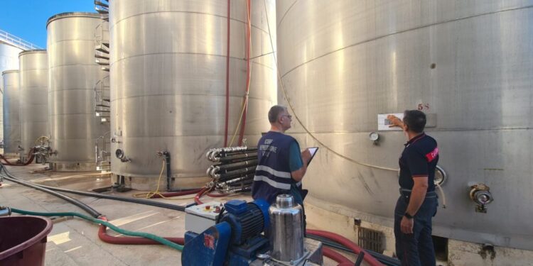 Sequestrati circa 200 quintali di vino Aglianico nel Vulture