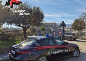 Controlli straordinari dei Carabinieri tra Baronissi e Fisciano: 230 persone identificate, sequestri e denunce