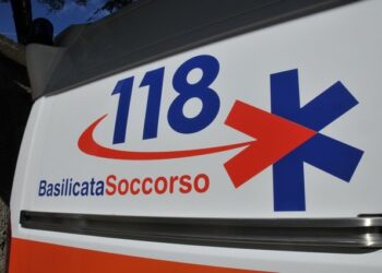 Satriano di Lucania, operaio salernitano di 50 anni trovato senza vita durante lavori nei boschi: indagini in corso
