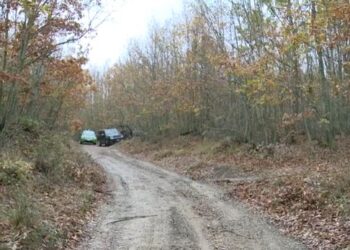 Boscaiolo di Polla morto in Basilicata: martedì l’autopsia, c’è un indagato