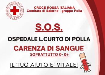 S.O.S. Carenza di sangue all’Ospedale Luigi Curto di Polla: appello urgente ai donatori