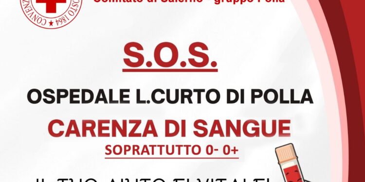 S.O.S. Carenza di sangue all’Ospedale Luigi Curto di Polla: appello urgente ai donatori