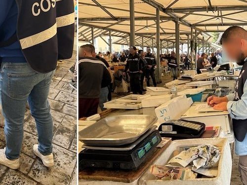 Blitz al Mercato Generale di Salerno: sequestrati chili di pesce senza tracciabilità