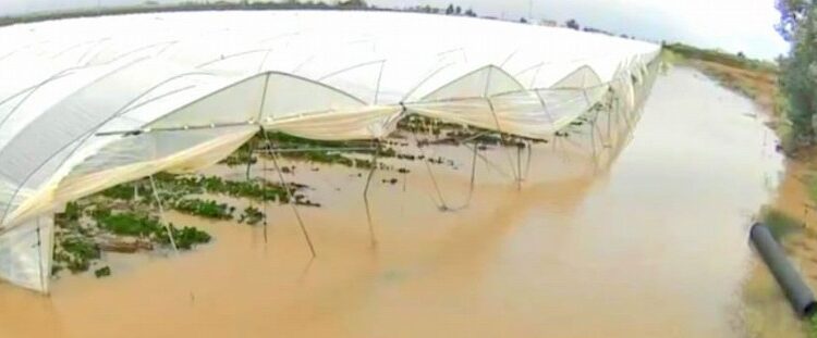 Alluvioni nel Materano, i produttori lucani: “Stessa acqua, stessi problemi: il tempo delle parole è finito”