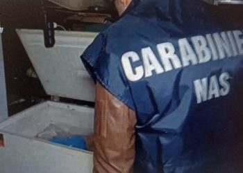 Scoperto un macello clandestino in pieno centro a Salerno: sequestrati 6 quintali di cibo