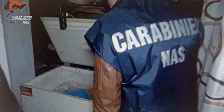 Scoperto un macello clandestino in pieno centro a Salerno: sequestrati 6 quintali di cibo