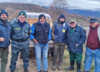 Ripopolamento di lepri in diversi comuni del Vallo di Diano