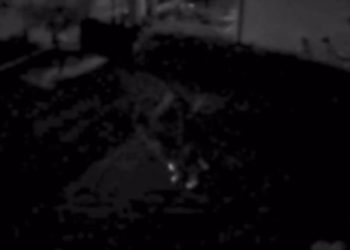 Furti a Marsicovetere, l’appello del sindaco Zippari: “Massima attenzione e collaborazione con le forze dell’ordine”