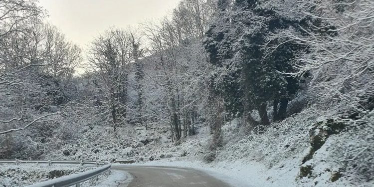 Neve sul Cilento, Vallo di Diano e Alburni: il risveglio con un paesaggio invernale da cartolina