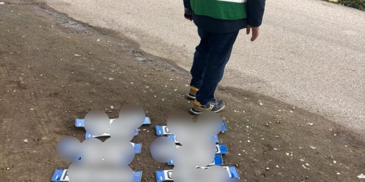 Quattordici targhe abbandonate in una discarica illegale: l’operazione della Guardia Agroforestale Italiana nel salernitano