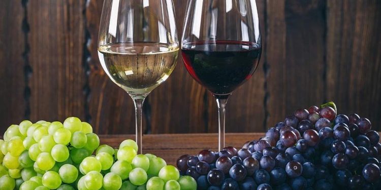 Nascono la Guida e la Carta dei vini del Parco del Cilento, Vallo di Diano e Alburni