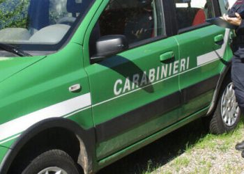 Report 2025 dei Carabinieri Forestali. Nel Cilento e Vallo di Diano è lotta all’abusivismo edilizio e agli incendi