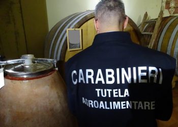 Frodi sui fondi agricoli UE: smantellata un’associazione operante anche nel Salernitano