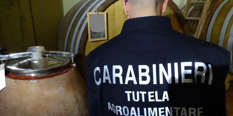 Frodi sui fondi agricoli UE: smantellata un’associazione operante anche nel Salernitano