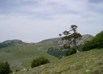 Il Piano del Parco Nazionale del Pollino entra ufficialmente in vigore