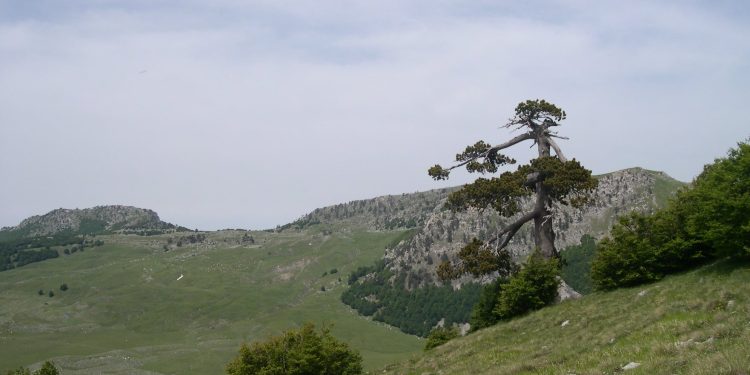 Il Piano del Parco Nazionale del Pollino entra ufficialmente in vigore