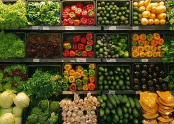 Basilicata, il 60% del cibo dei lucani finisce sprecato: Coldiretti lancia l’allarme