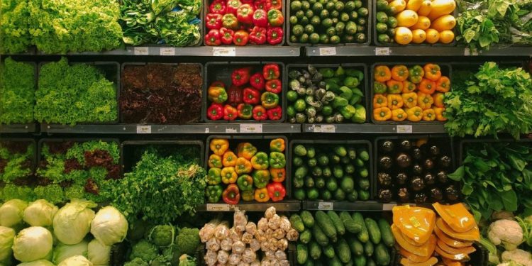 Basilicata, il 60% del cibo dei lucani finisce sprecato: Coldiretti lancia l’allarme