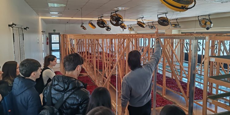 Convenzione tra Confesercenti e l’istituto Pomponio Leto: visite aziendali per gli studenti