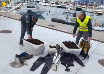 Pesca illegale sul lungomare salernitano: sequestrati 2.500 ricci di mare, sanzioni per 18mila euro
