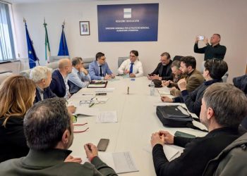 Forestazione lucana, confronto Regione–sindacati