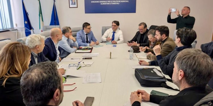 Forestazione lucana, confronto Regione–sindacati