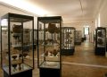 Pasqua nei musei salernitani: aperture straordinarie