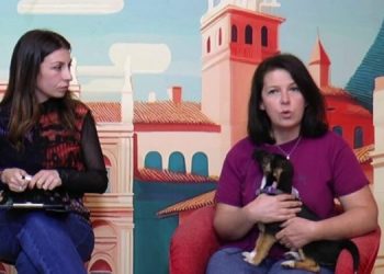 Strage di animali a Sassano, Qua La Zampa Effe lancia allerta sul Vallo di Diano