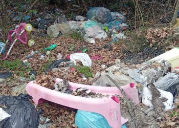 La Guardia Agroforestale scopre e denuncia una discarica abusiva a Postiglione