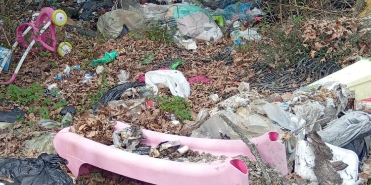 La Guardia Agroforestale scopre e denuncia una discarica abusiva a Postiglione