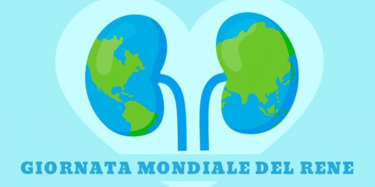 Giornata mondiale del rene:  il 12 marzo controlli gratuiti al reparto di nefrologia di Polla
