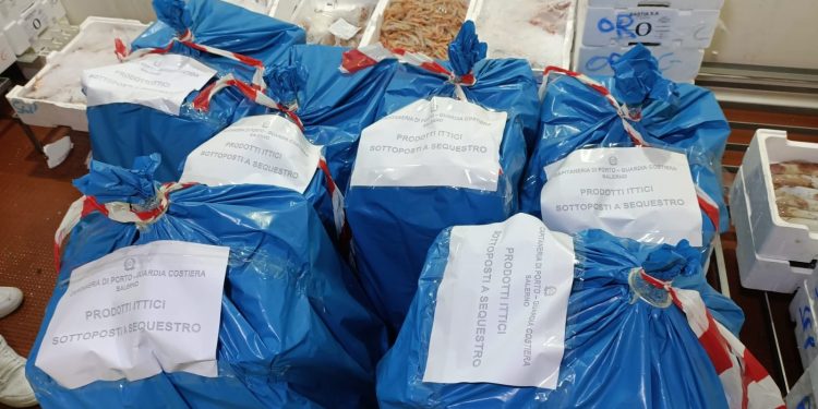 Pesca illegale e rischi sanitari nel Salernitano:  controlli e sequestri per oltre una tonnellata di prodotti