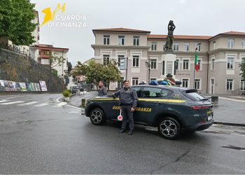 Controlli antidroga nel Potentino: sequestri e segnalazioni tra Lauria e Maratea