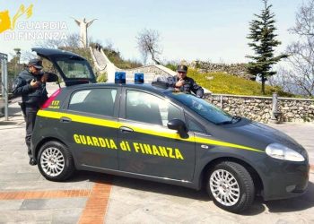 Controlli antidroga nel potentino: sequestri e cinque segnalazioni grazie ai cani delle Fiamme Gialle