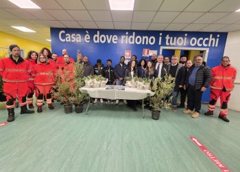 Una pianta di ulivo per ogni reparto dell’ospedale di Polla. L’iniziativa della Gopi onlus