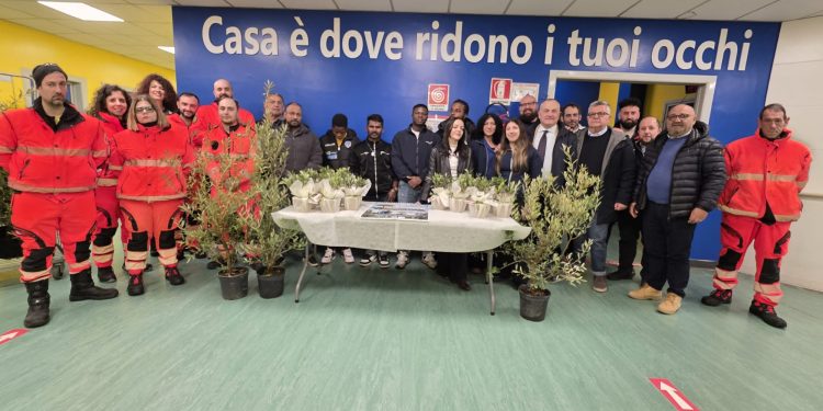 Una pianta di ulivo per ogni reparto dell’ospedale di Polla. L’iniziativa della Gopi onlus