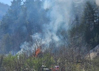Incendio a Moliterno, fiamme nel bosco in contrada Forca di Sora