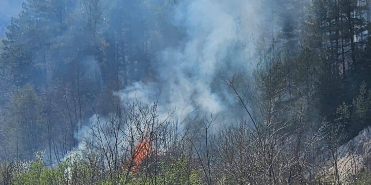 Incendio a Moliterno, fiamme nel bosco in contrada Forca di Sora