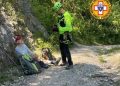 Escursionista aggredito da un branco di cani randagi sul Monte Stella