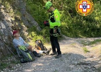 Escursionista aggredito da un branco di cani randagi sul Monte Stella