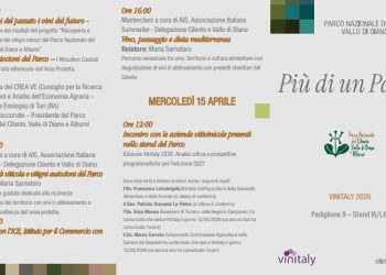 Il Parco del Cilento, Vallo di Diano Alburni, protagonista al Vinitaly. Vini, biodiversità e identità territoriale in vetrina a Verona