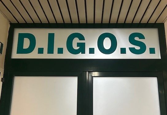 Inneggiavano alla Shoah  e al genocidio ebraico. Perquisizione anche in provincia di Matera: arrestato 19enne per propaganda neonazista