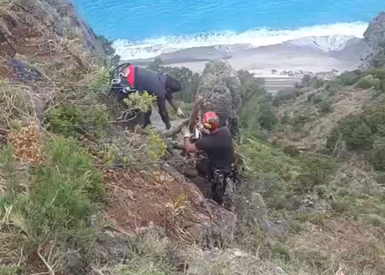 Massi instabili sulla strada del Mingardo a Marina di Camerota: strada chiusa per la messa in sicurezza