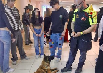 I Vigili del Fuoco di Matera tra i banchi: studenti affascinati dai cani eroi e dalle lezioni di sicurezza