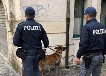 Potenza, controlli straordinari in centro: identificate 87 persone e sequestrata droga