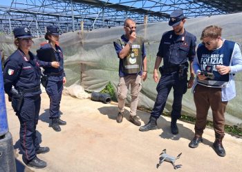 Reflui sversati nei canali a Capaccio Paestum: denunciato imprenditore . Scatta il sequestro degli impianti