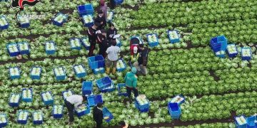 Tratta di esseri umani e sfruttamento nei campi: 12 misure cautelari tra Basilicata, Campania e Nord Italia, coinvolto anche un indiano residente a Padula